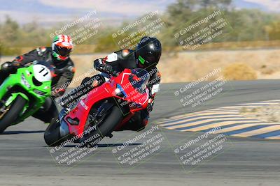 media/Feb-13-2022-SoCal Trackdays (Sun) [[c9210d39ca]]/Turn 4 Tip In (940am)/